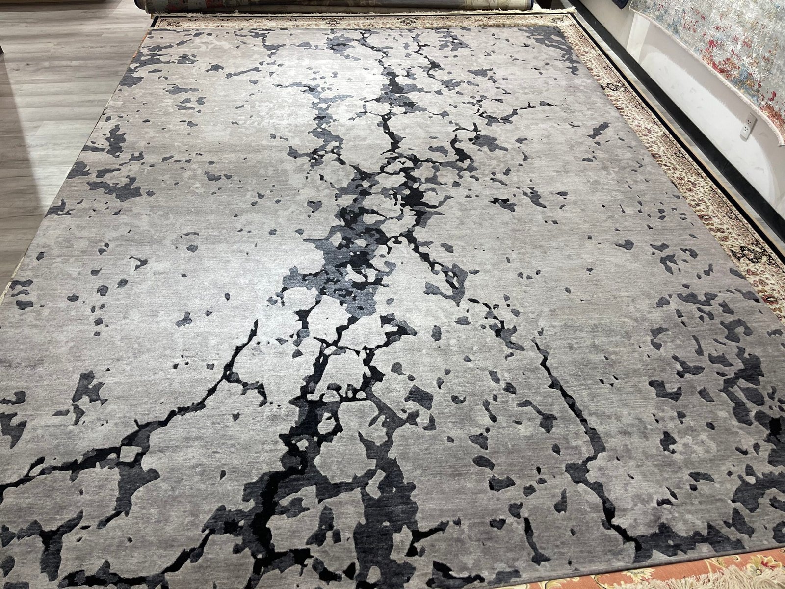 DIDI SERIES - Ảnh 7