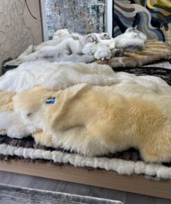 Góc nhìn thay thế của THẢM LÔNG CỪU NGUYÊN TẤM