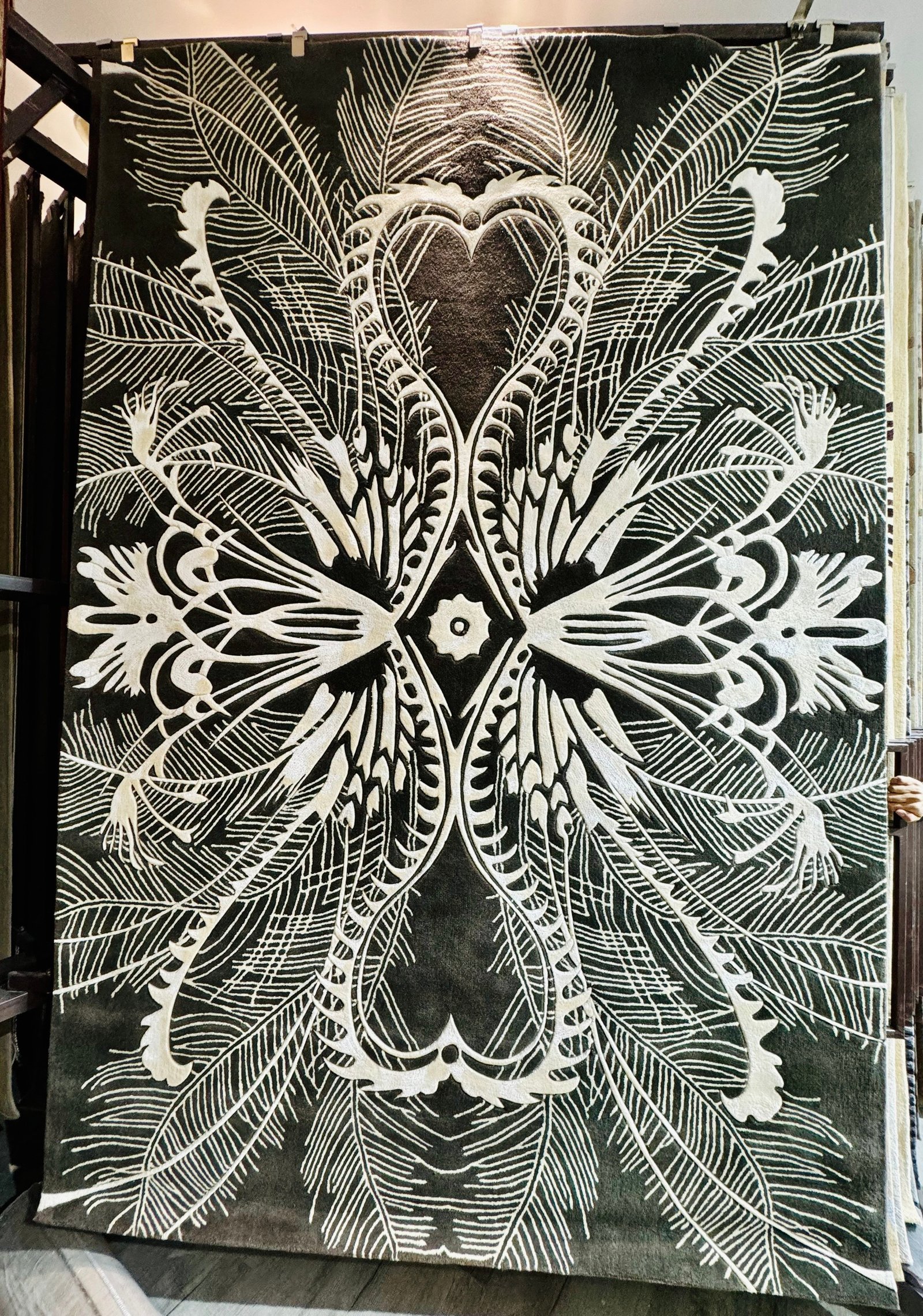 VAMOS SERIES - Ảnh 8